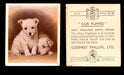 1936 Godfrey Phillips "Our Puppies" Tobacco You Pick Singles Trading Cards #1-30 #7 West Highland White Terrier  - TvMovieCards.com