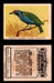 1923 Birds, Beasts, Fishes C1 Imperial Tobacco Vintage Trading Cards Singles #7 Purple Headed Glossy Starling  - TvMovieCards.com
