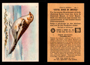 Birds - Useful Birds of America 8th Series You Pick Singles Church & Dwight J-9 #7 Snow Bunting  - TvMovieCards.com