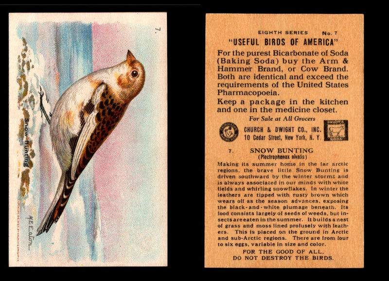 Birds - Useful Birds of America 8th Series You Pick Singles Church & Dwight J-9 #7 Snow Bunting  - TvMovieCards.com