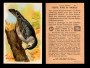 Birds - Useful Birds of America 6th Series You Pick Singles Church & Dwight J-9 #7 Nuthatch  - TvMovieCards.com