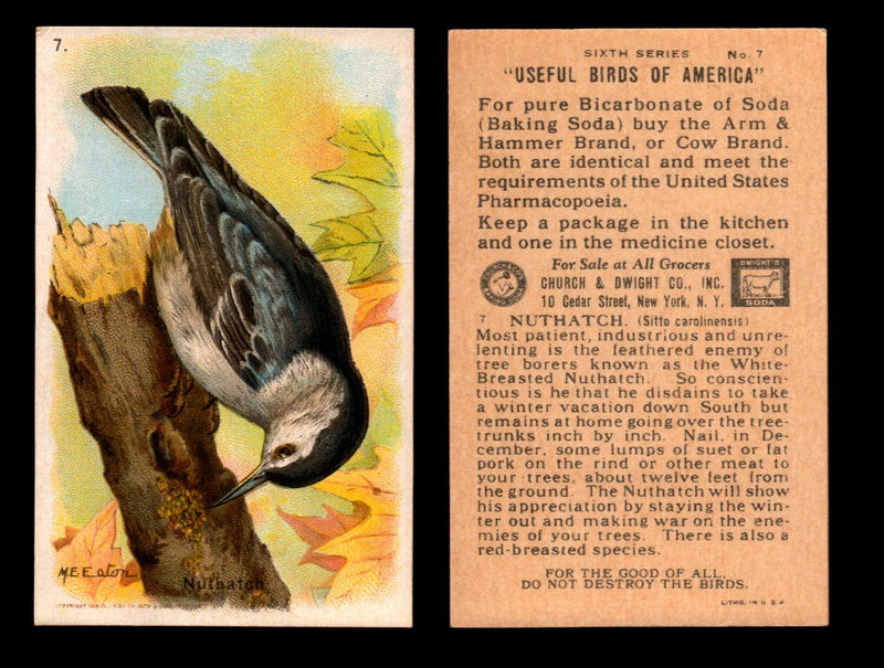 Birds - Useful Birds of America 6th Series You Pick Singles Church & Dwight J-9 #7 Nuthatch  - TvMovieCards.com