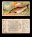 1910 Fish and Bait Imperial Tobacco Vintage Trading Cards You Pick Singles #1-50 #7 The Chub  - TvMovieCards.com