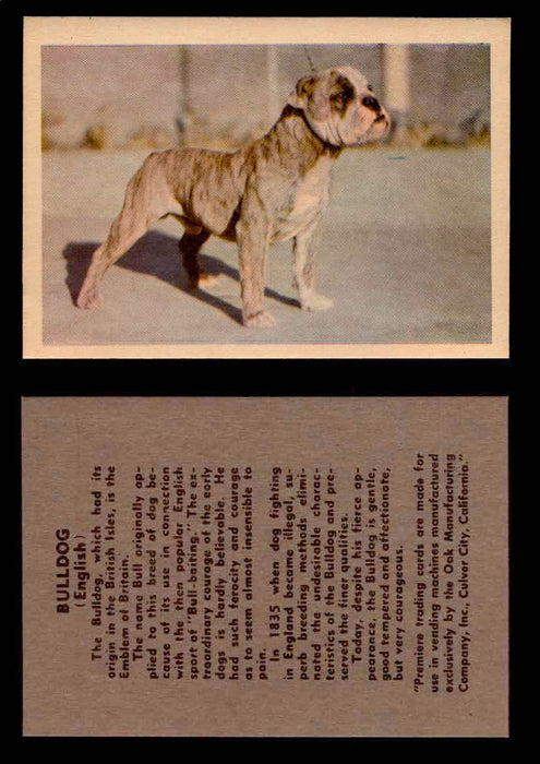 1957 Dogs Premiere Oak Man. R-724-4 Vintage Trading Cards You Pick Singles #1-42 #7 English Bulldog  - TvMovieCards.com