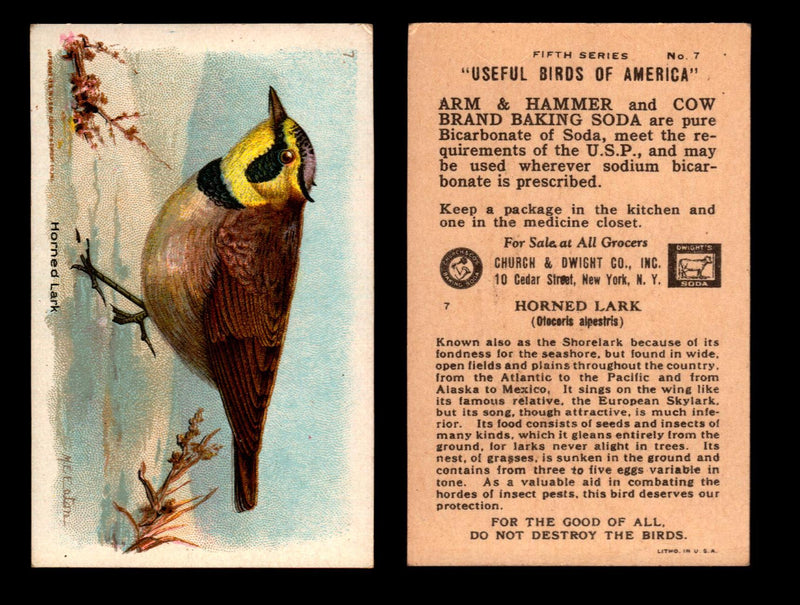 Birds - Useful Birds of America 5th Series You Pick Singles Church & Dwight J-9 #7 Horned Lark  - TvMovieCards.com