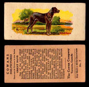 1929 V13 Cowans Dog Pictures Vintage Trading Cards You Pick Singles #1-24 #7 Great Dane  - TvMovieCards.com
