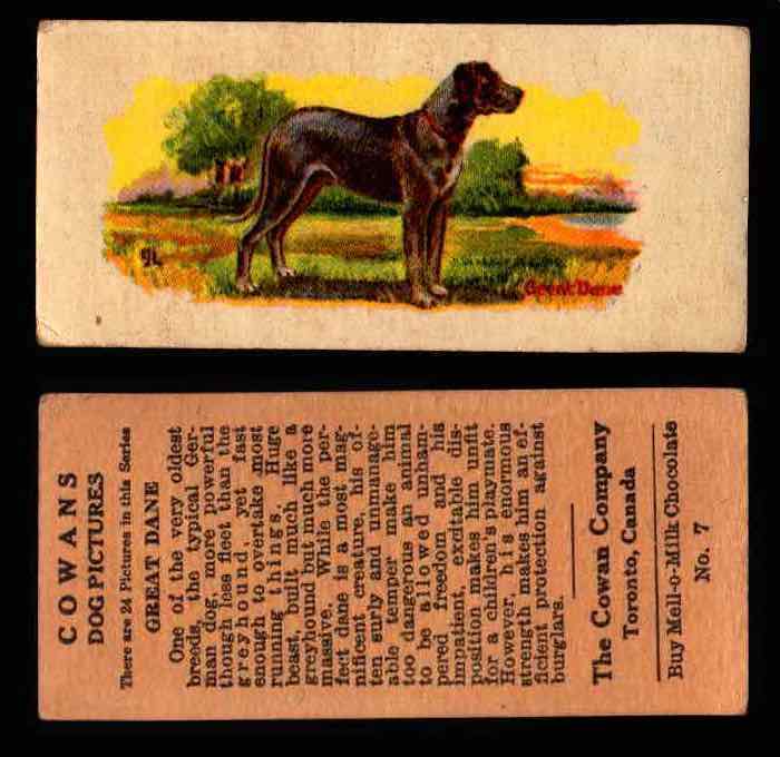 1929 V13 Cowans Dog Pictures Vintage Trading Cards You Pick Singles #1-24 #7 Great Dane  - TvMovieCards.com