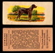 1929 V13 Cowans Dog Pictures Vintage Trading Cards You Pick Singles #1-24 #7 Great Dane  - TvMovieCards.com