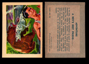 1956 Adventure Vintage Trading Cards Gum Products #1-#100 You Pick Singles #82 Dog / A Boys Best Friend  - TvMovieCards.com
