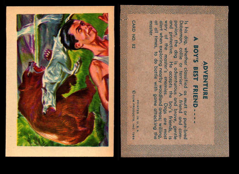 1956 Adventure Vintage Trading Cards Gum Products #1-#100 You Pick Singles #82 Dog / A Boys Best Friend  - TvMovieCards.com