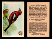 Birds - Useful Birds of America 3rd Series You Pick Singles Church & Dwight J-7 #8 White-winged Crossbill  - TvMovieCards.com