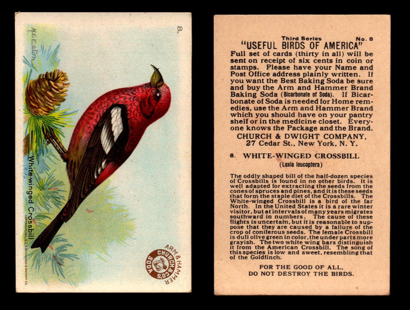 Birds - Useful Birds of America 3rd Series You Pick Singles Church & Dwight J-7 #8 White-winged Crossbill  - TvMovieCards.com