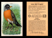Birds - Useful Birds of America 9th Series You Pick Singles Church & Dwight J-9 #8 Robin  - TvMovieCards.com