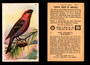 Birds - Useful Birds of America 8th Series You Pick Singles Church & Dwight J-9 #8 Pine Grosbeak  - TvMovieCards.com