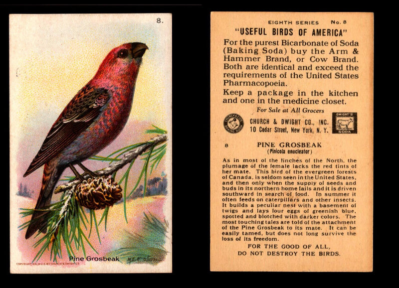 Birds - Useful Birds of America 8th Series You Pick Singles Church & Dwight J-9 #8 Pine Grosbeak  - TvMovieCards.com