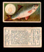 1910 Fish and Bait Imperial Tobacco Vintage Trading Cards You Pick Singles #1-50 #8 The Roach  - TvMovieCards.com