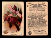 Beautiful Flowers New Series You Pick Singles Card #1-#60 Arm & Hammer 1888 J16 #8 Orchid - Lady's Slipper  - TvMovieCards.com