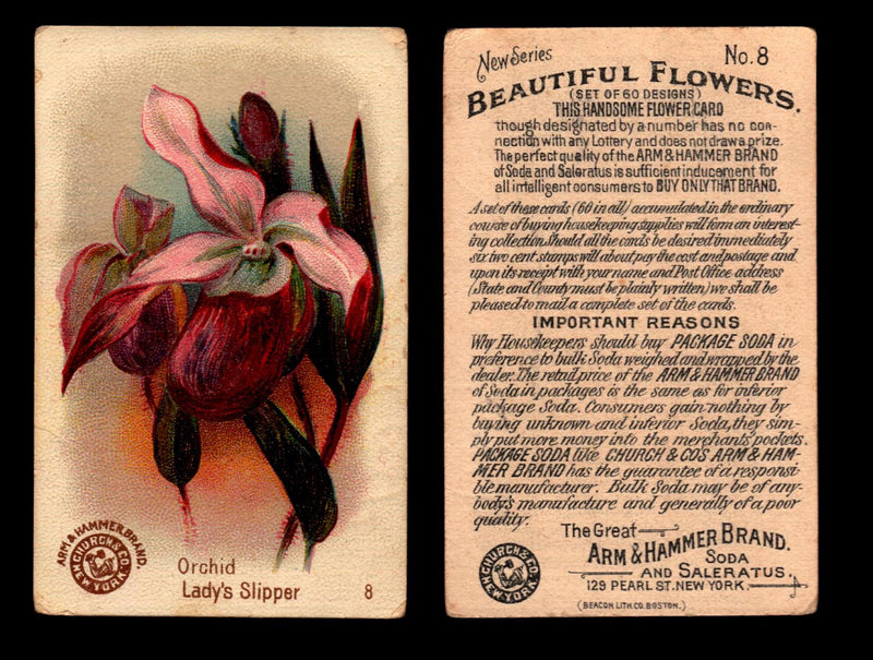 Beautiful Flowers New Series You Pick Singles Card #1-#60 Arm & Hammer 1888 J16 #8 Orchid - Lady's Slipper  - TvMovieCards.com
