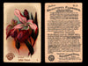 Beautiful Flowers New Series You Pick Singles Card #1-#60 Arm & Hammer 1888 J16 #8 Orchid - Lady's Slipper  - TvMovieCards.com