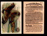 Interesting Animals You Pick Single Card #1-60 1892 J10 Church Arm & Hammer #8 Fur Seals  - TvMovieCards.com