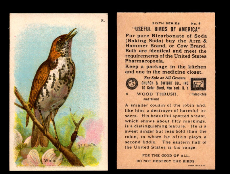Birds - Useful Birds of America 6th Series You Pick Singles Church & Dwight J-9 #8 Wood Thrush  - TvMovieCards.com