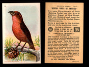 Birds - Useful Birds of America 7th Series You Pick Singles Church & Dwight J-9 #8 American Crossbill  - TvMovieCards.com