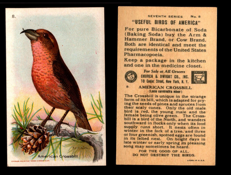 Birds - Useful Birds of America 7th Series You Pick Singles Church & Dwight J-9 #8 American Crossbill  - TvMovieCards.com
