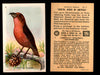 Birds - Useful Birds of America 7th Series You Pick Singles Church & Dwight J-9 #8 American Crossbill  - TvMovieCards.com
