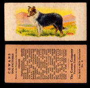 1929 V13 Cowans Dog Pictures Vintage Trading Cards You Pick Singles #1-24 #8 Collie  - TvMovieCards.com