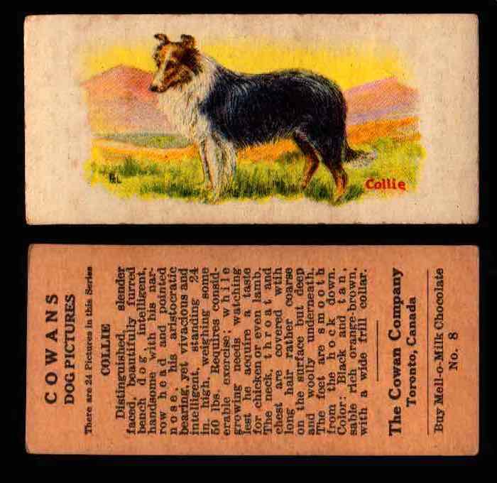 1929 V13 Cowans Dog Pictures Vintage Trading Cards You Pick Singles #1-24 #8 Collie  - TvMovieCards.com