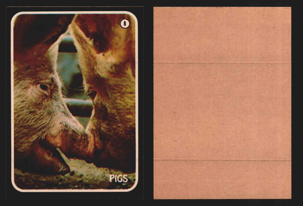 Zoo's Who Topps Animal Sticker Trading Cards You Pick Singles #1-40 1975 #8 Pigs  - TvMovieCards.com