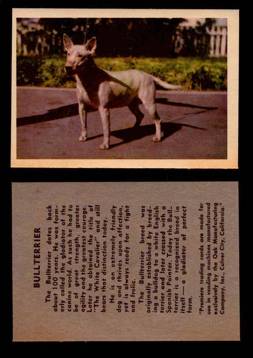 1957 Dogs Premiere Oak Man. R-724-4 Vintage Trading Cards You Pick Singles #1-42 #8 Bullterrier  - TvMovieCards.com