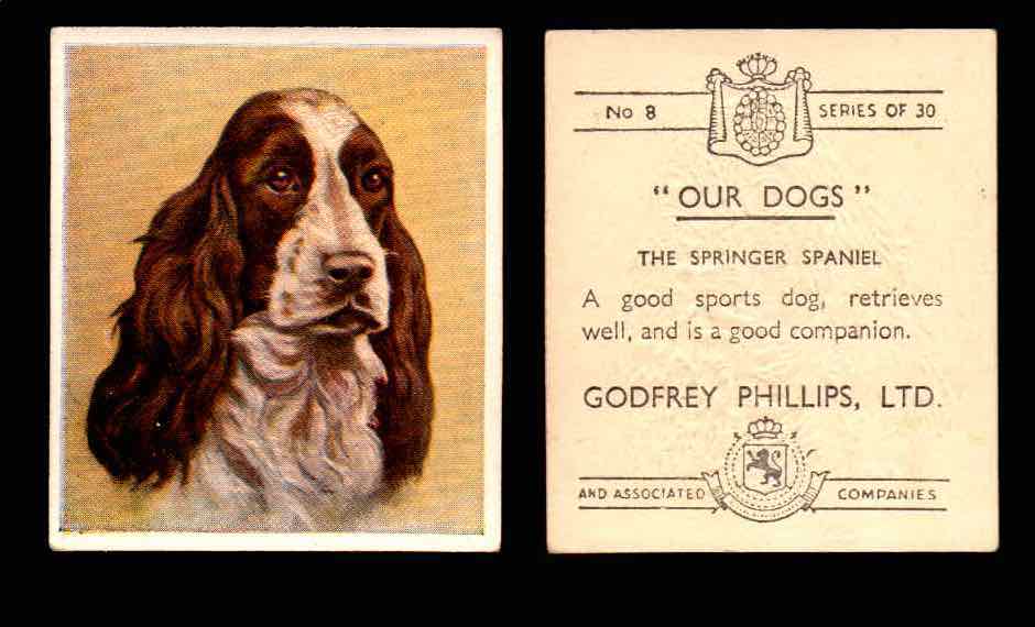 1939 Godfrey Phillips "Our Dogs" Tobacco You Pick Singles Trading Cards #1-30 #8 The Springer Spaniel  - TvMovieCards.com
