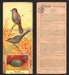 1924 Patterson's Bird Chocolate Vintage Trading Cards U Pick Singles #1-46 8 Catbird  - TvMovieCards.com