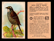 Birds - Useful Birds of America 5th Series You Pick Singles Church & Dwight J-9 #8 White-throated Sparrow  - TvMovieCards.com