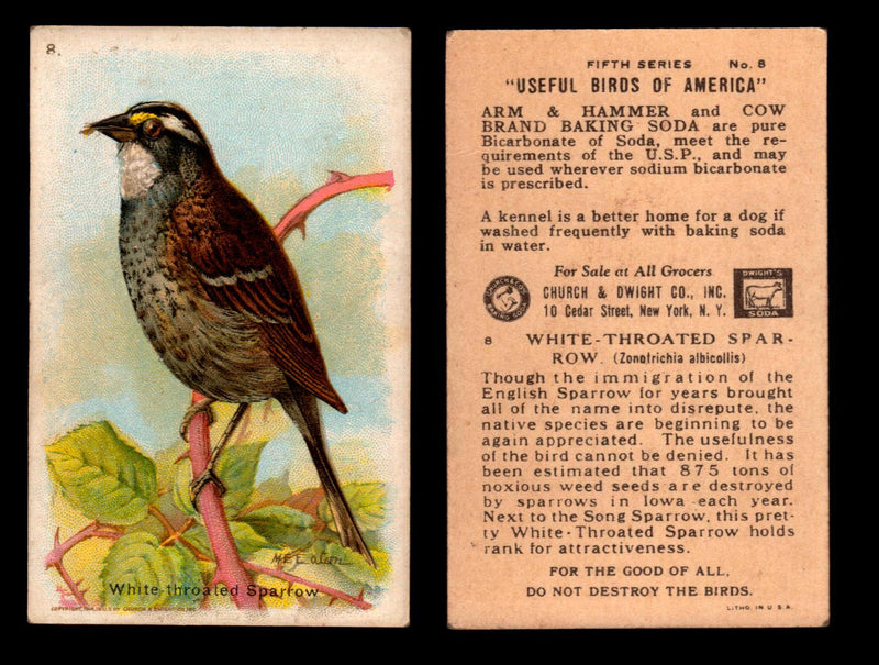 Birds - Useful Birds of America 5th Series You Pick Singles Church & Dwight J-9 #8 White-throated Sparrow  - TvMovieCards.com