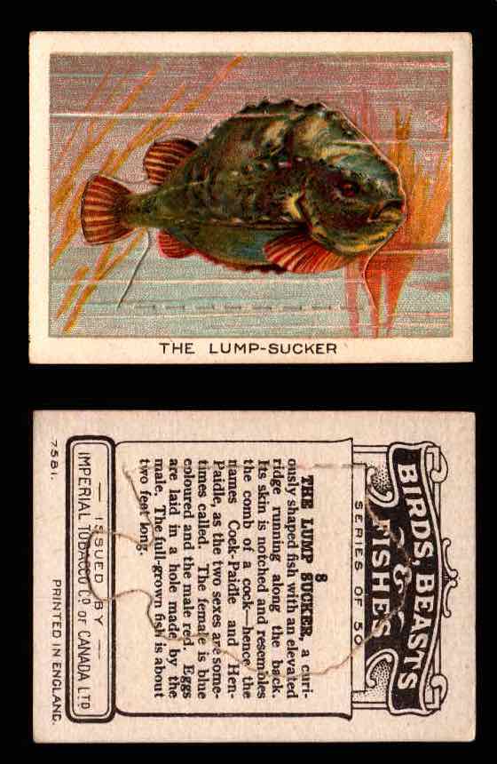 1923 Birds, Beasts, Fishes C1 Imperial Tobacco Vintage Trading Cards Singles #8 The Lump-Sucker  - TvMovieCards.com