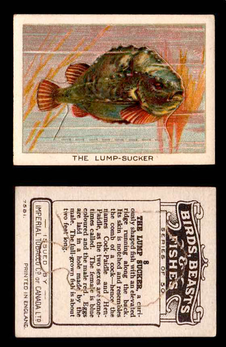 1923 Birds, Beasts, Fishes C1 Imperial Tobacco Vintage Trading Cards Singles #8 The Lump-Sucker  - TvMovieCards.com