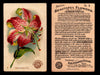 Beautiful Flowers New Series You Pick Singles Card #1-#60 Arm & Hammer 1888 J16 #9 Japanese Lily  - TvMovieCards.com