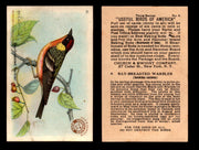 Birds - Useful Birds of America 3rd Series You Pick Singles Church & Dwight J-7 #9 Bay-breasted Warbler  - TvMovieCards.com