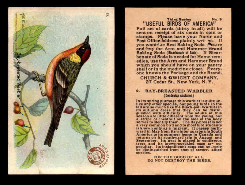 Birds - Useful Birds of America 3rd Series You Pick Singles Church & Dwight J-7 #9 Bay-breasted Warbler  - TvMovieCards.com