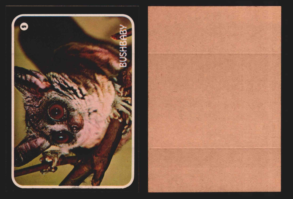 Zoo's Who Topps Animal Sticker Trading Cards You Pick Singles #1-40 1975 #9 Bushbaby  - TvMovieCards.com