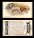 1925 Dogs 2nd Series Imperial Tobacco Vintage Trading Cards U Pick Singles #1-50 #9 Dalmatian  - TvMovieCards.com