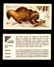 Nature Untamed Nabisco Vintage Trading Cards You Pick Singles #1-24 #9 Wolverine  - TvMovieCards.com