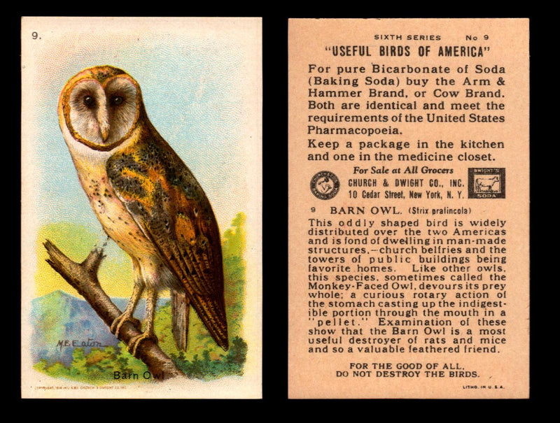Birds - Useful Birds of America 6th Series You Pick Singles Church & Dwight J-9 #9 Barn Owl  - TvMovieCards.com