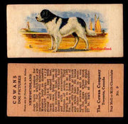 1929 V13 Cowans Dog Pictures Vintage Trading Cards You Pick Singles #1-24 #9 Newfoundland  - TvMovieCards.com
