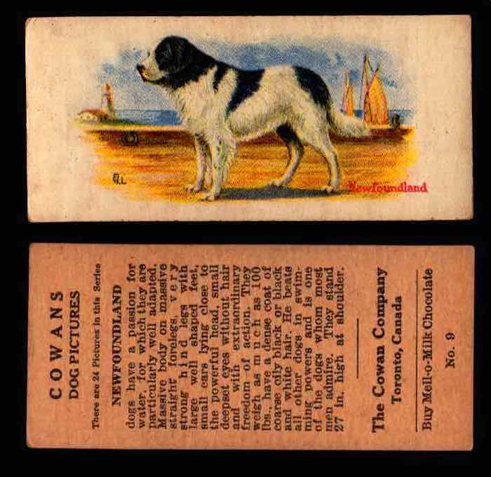 1929 V13 Cowans Dog Pictures Vintage Trading Cards You Pick Singles #1-24 #9 Newfoundland  - TvMovieCards.com