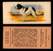 1929 V13 Cowans Dog Pictures Vintage Trading Cards You Pick Singles #1-24 #9 Newfoundland  - TvMovieCards.com