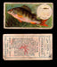 1910 Fish and Bait Imperial Tobacco Vintage Trading Cards You Pick Singles #1-50 #9 The Perch  - TvMovieCards.com
