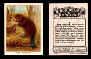 1923 Birds, Beasts, Fishes C1 Imperial Tobacco Vintage Trading Cards Singles #9 The Beaver  - TvMovieCards.com